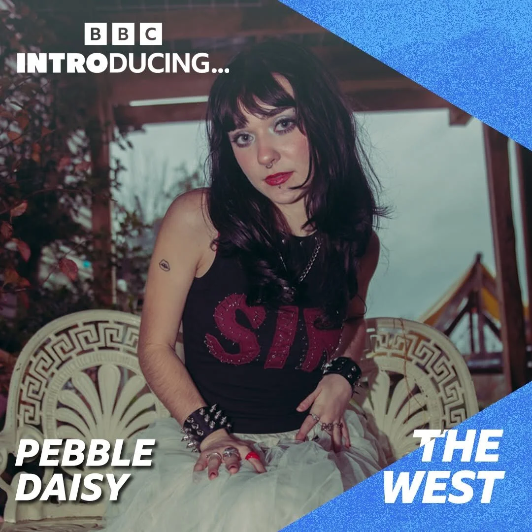 Poster for Pebble Daisy on the radio